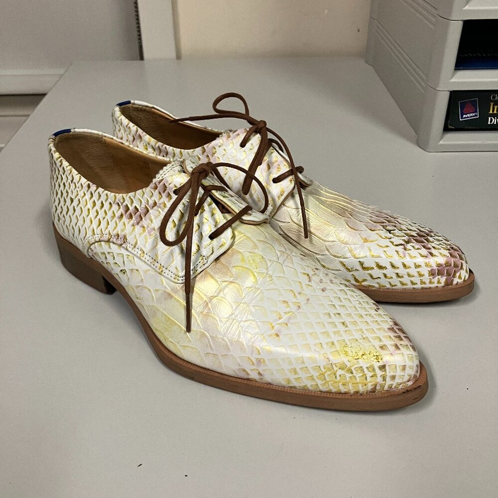 *Barely Worn* 2019 Fluevog Modvog ACE FACE! Snake, Size Men's 5 (Women's 8.5)! - Picture 2 of 13
